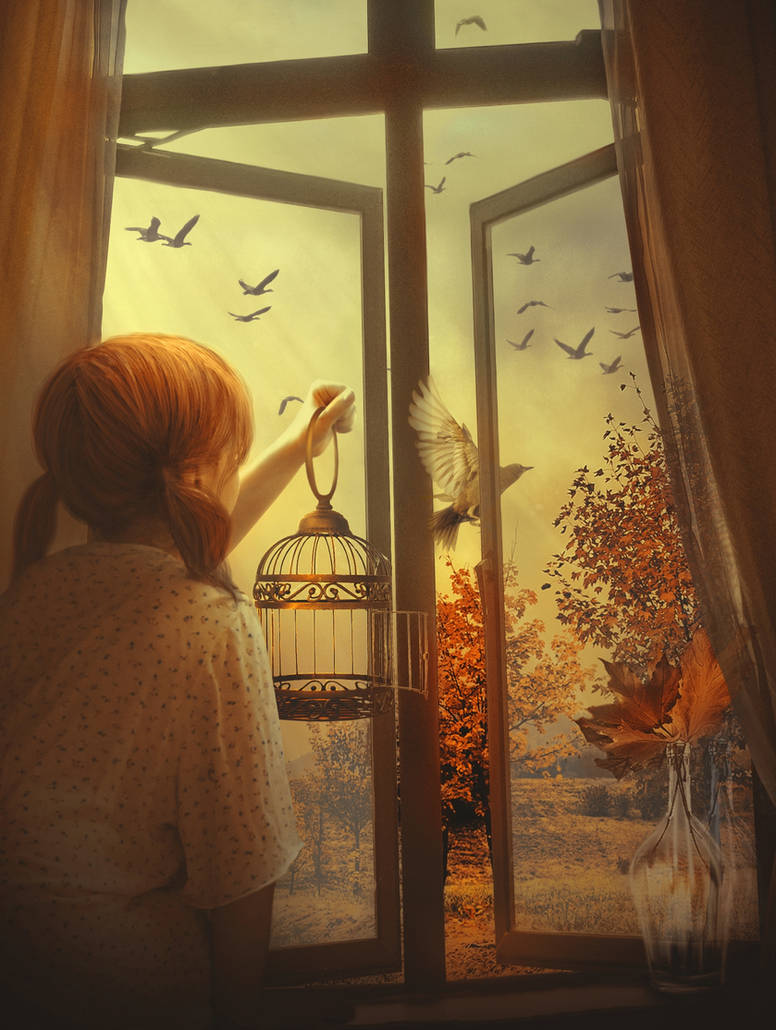 Утро стучит в окно. Окно иллюстрация. Окно осень. Осень из окна. Уютные иллюстрации.