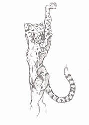 ''Daily'' sketch - Leopard Stretching.