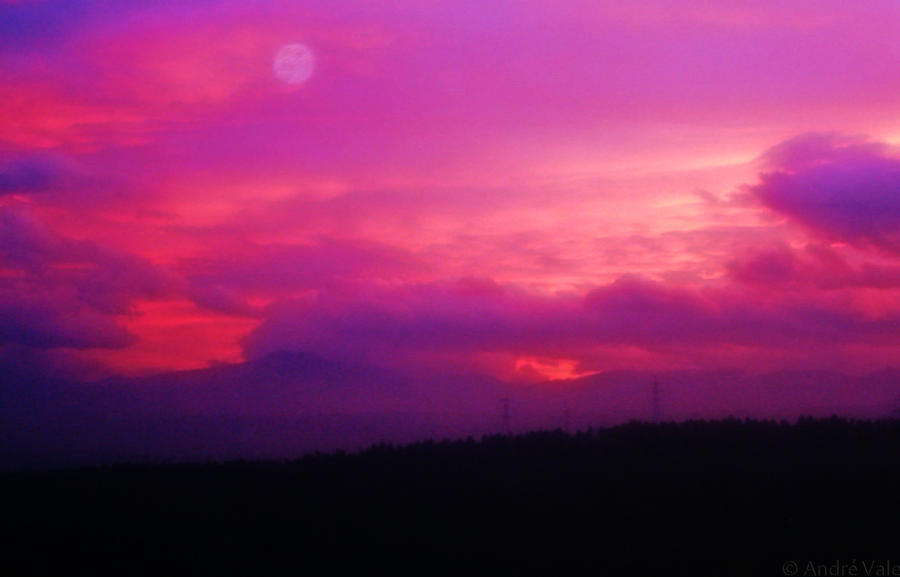 Purple sunset