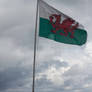 Welsh Flag