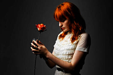 Florence + The Rose