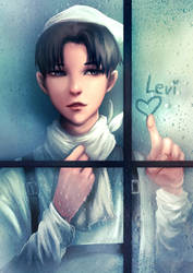 Levi cleaning your windows?