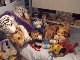 Spot the plushie..... lol