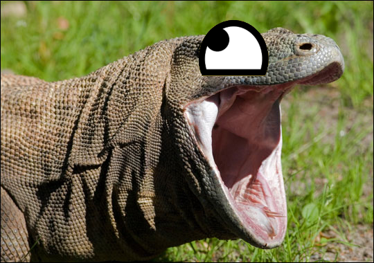 Komodo Dragons are AWESOME by KaijuX on DeviantArt Komodo Dragons are AWESOME by KaijuX on DeviantArt