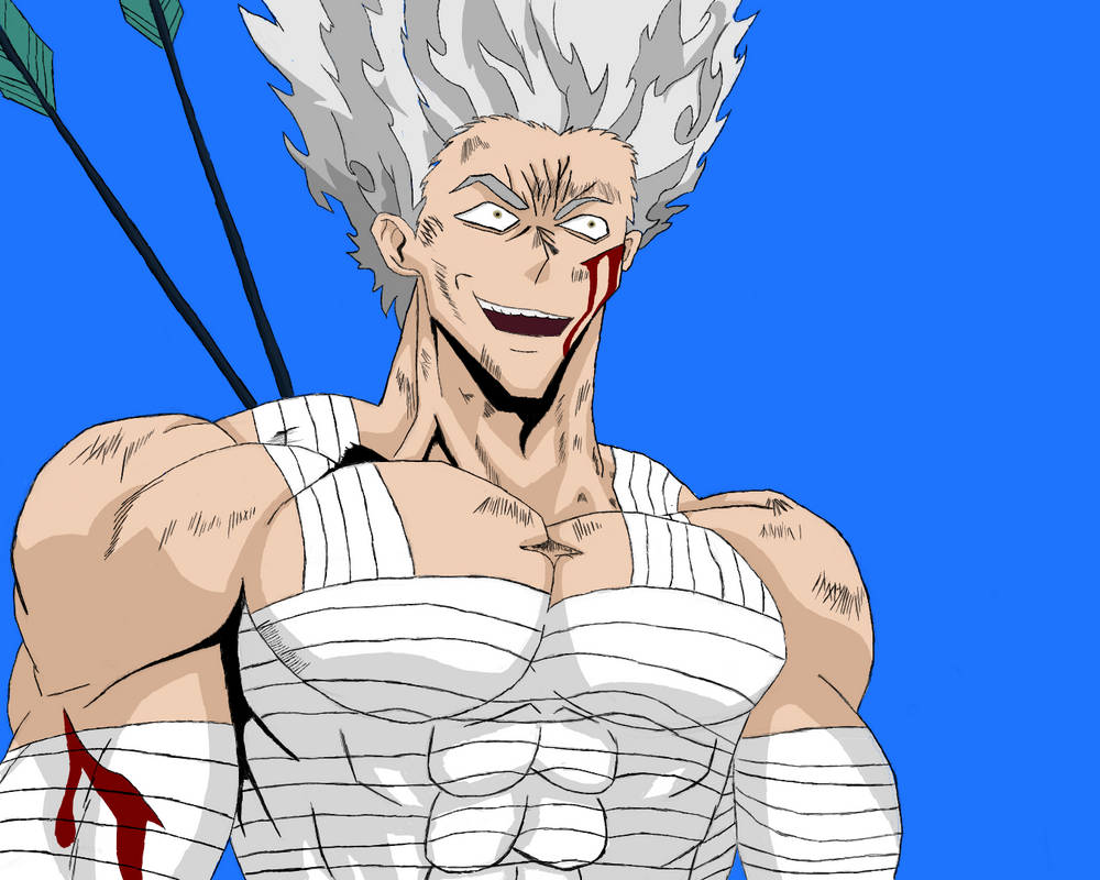 Garou Inflation Garou by Trajan1683 on DeviantArt