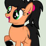 Pony Rocki