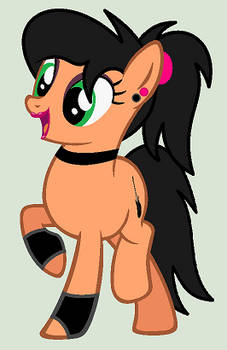 Pony Rocki