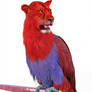 Lion Parrot