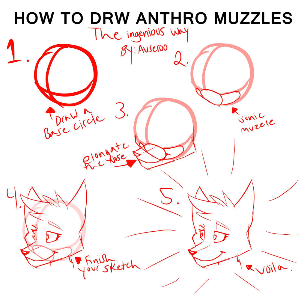How To Draw Anthro Muzzles For Sonic Artists By Zavlekat On Deviantart