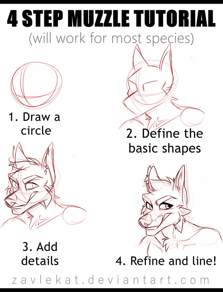 4 Step Muzzle Tutorial- Zavlekat by Zavlekat on DeviantArt