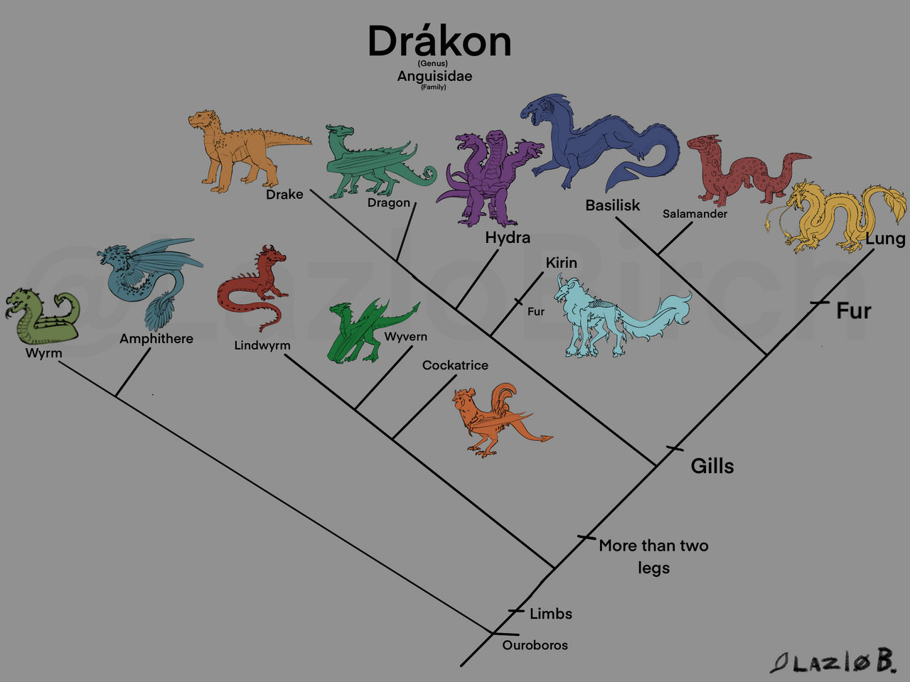 Dragon Color Hierarchy