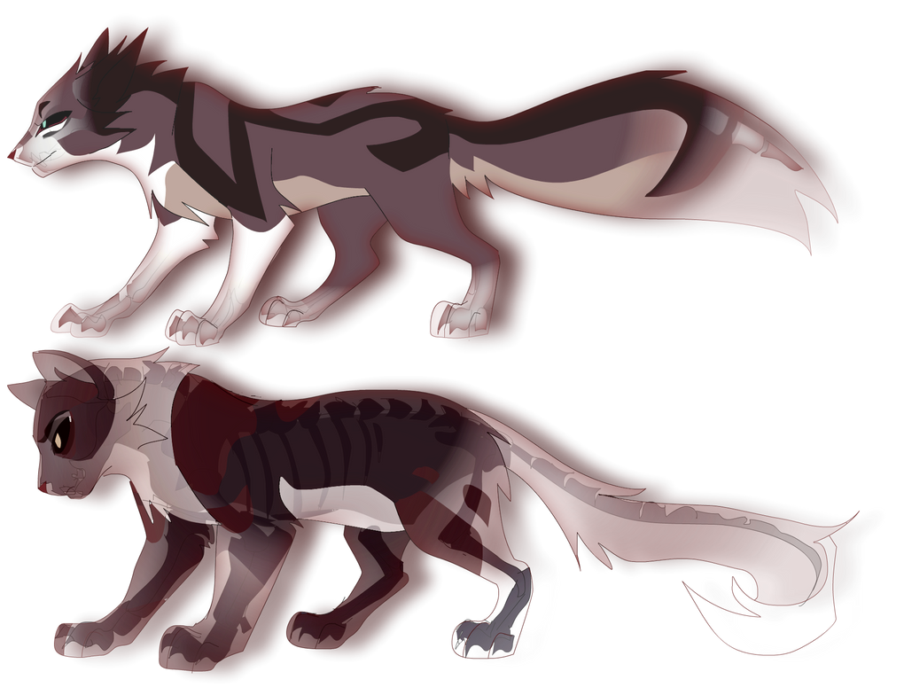 Dark Forest by meow286 on DeviantArt