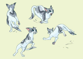 ivypool skeches