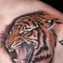 Tiger tattoo by me