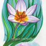 flower watercolors
