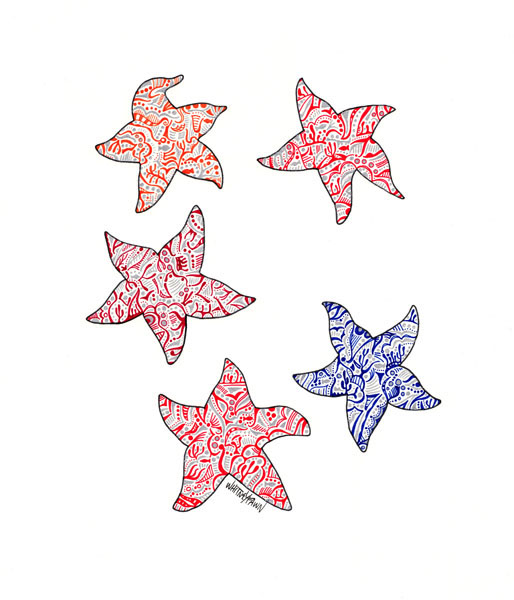 5 Starfish