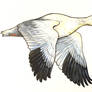 Snow Goose (flying, ink + paint)