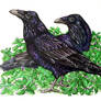 100 Watcher Raffle Prize #2 - Common Ravens