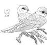 Bank Swallow (pair, ink)