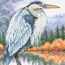 Great Blue Heron (in lake, ink + paint)