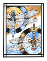 Blue Dasher Dragonflies