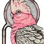 Galah