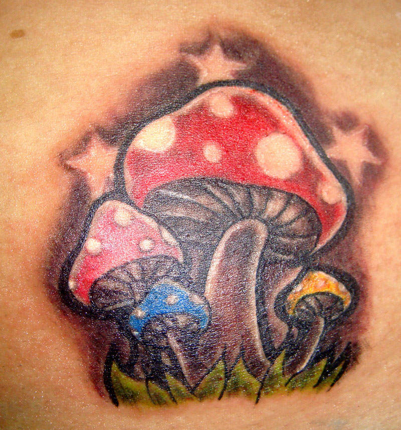 Family mushroom