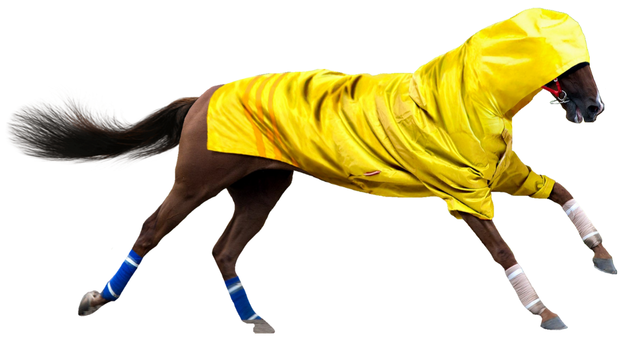 Horse raincoat top