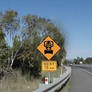 Cyberman road sign