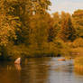 Sunset in Estonia by the river.