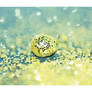Glitter