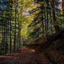 Fall in the Italian mountains