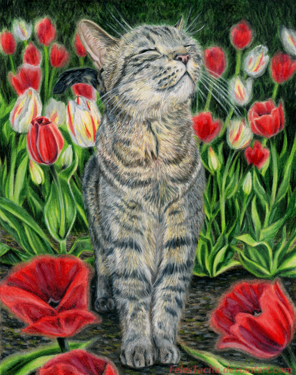 Springtime Bliss Springtime Bliss by FelesTacita on DeviantArt