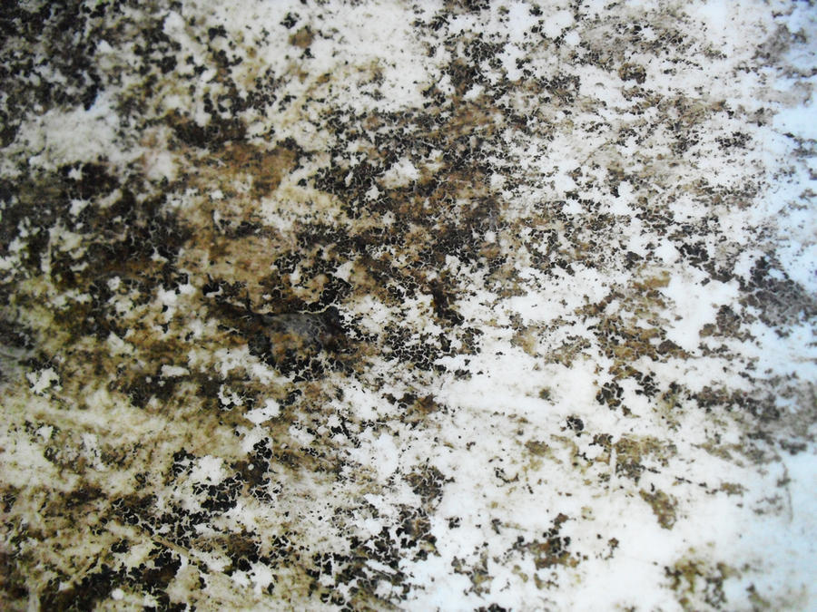 Dunning Texture Grunge_Texture4 by Dsings on DeviantArt