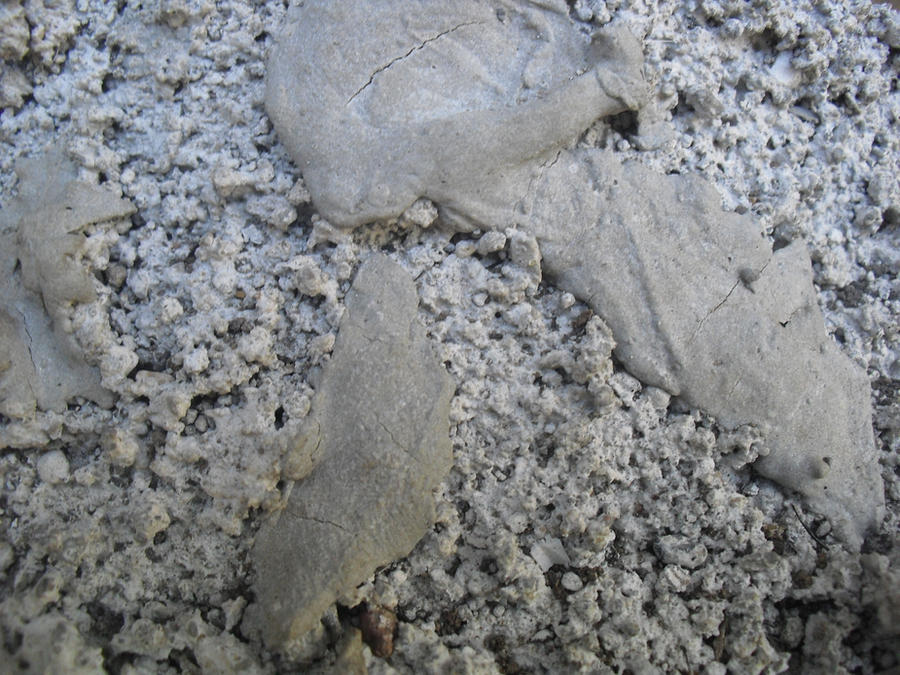 Dunning Texture Texture15 by Dsings on DeviantArt