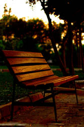 Park Bench