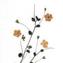 Flower postcard_stock