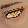 Eyes