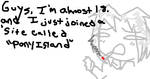 PONY ISLAND by Mtothy