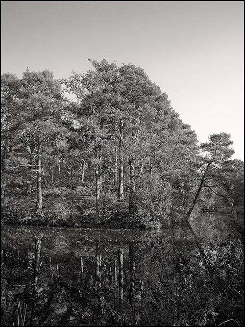 Basingstoke Canal III