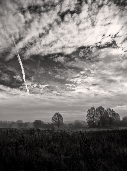 Land and Sky