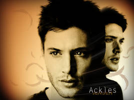 Jensen Wallpaper .