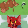 Tom is angry at the fly punching jerry
