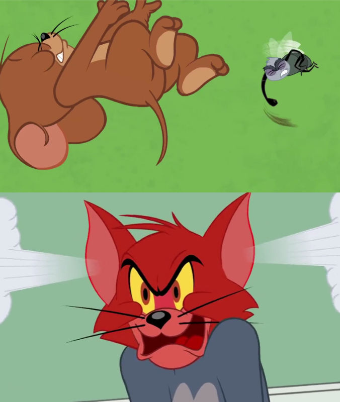 Red Angry Tm Tom is angry at the fly punching jerry by Sanjavy on DeviantArt
