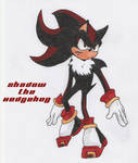 Shadow the Hedgehog by Lobo-the-Wolf