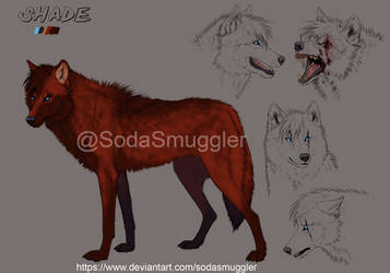 Shade the dark red timber wolf_ concept art