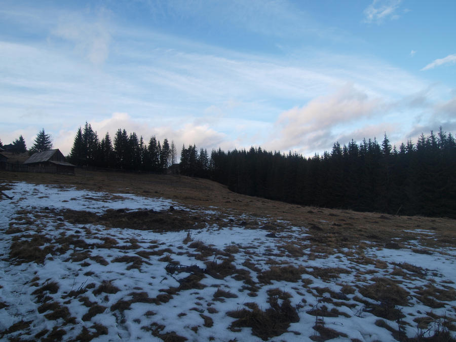 Winter in the hills of Romania