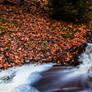 The 'river' of autumn