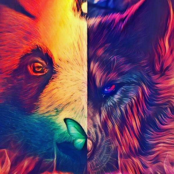 Wolf/panda by yujiro-hanma01 on DeviantArt