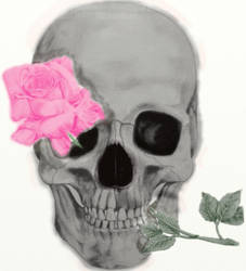 Skull and Rose